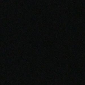 Meet your Posher, Rocky